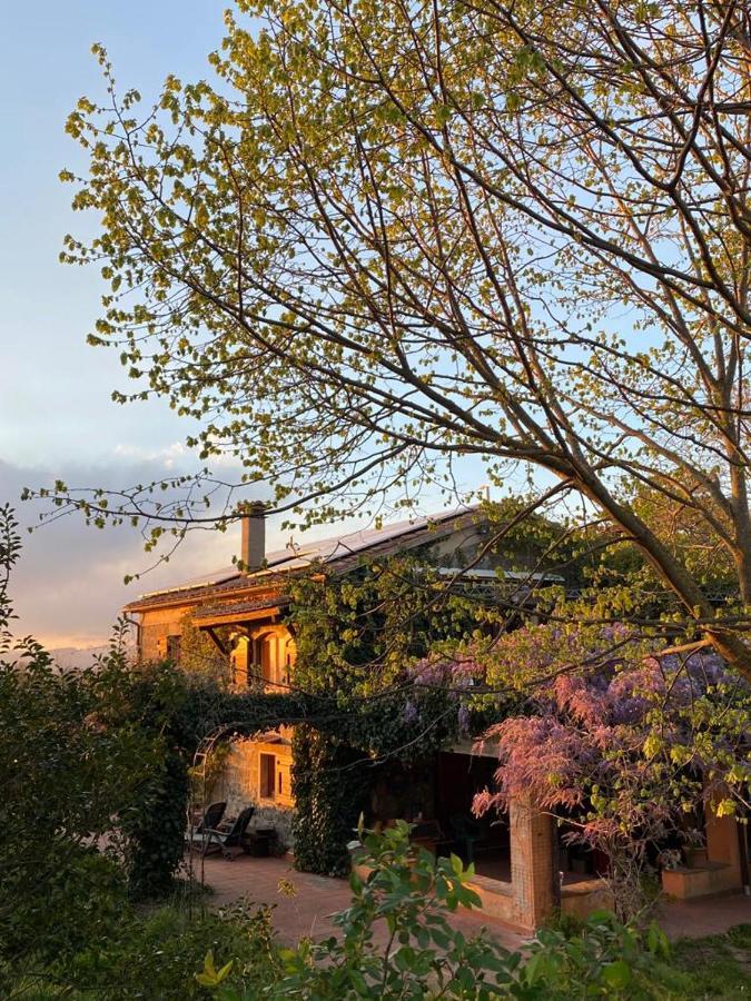 Agriturismo Solidor Pitigliano Extérieur photo
