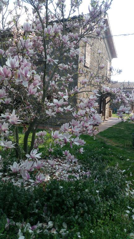 Agriturismo Solidor Pitigliano Extérieur photo