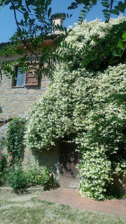 Villa Agriturismo Solidor à Pitigliano Extérieur photo